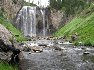 Yellowstone horseback trips