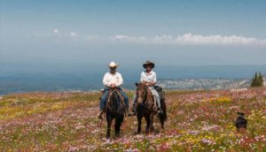 horseback pack trips wyoming