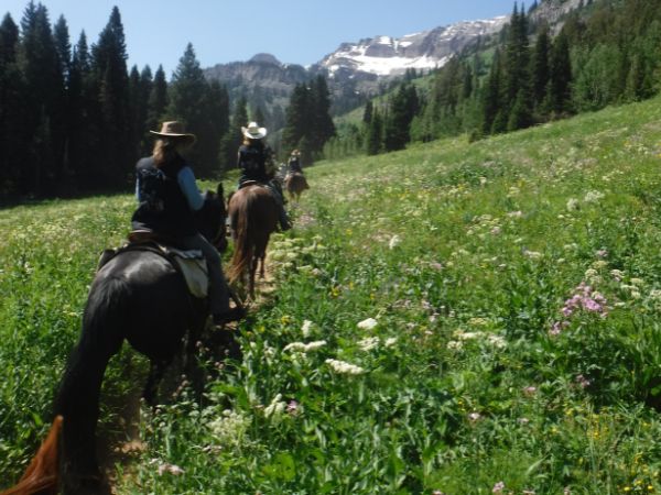 thumbnail-badger-creek-pack-trips-dry-ridge